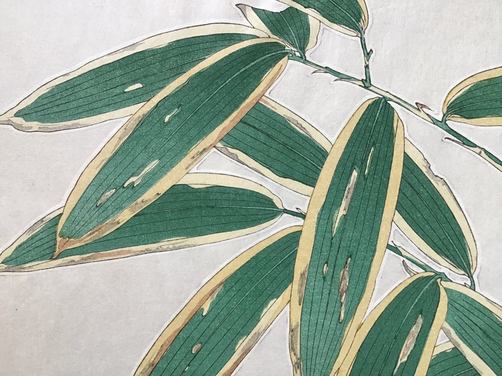 Adonis 福寿草orフクジュソウ Fukujuso - Kawarazaki Shodo 河原崎奨堂 (1889-1973) - Published by Unsodo - Ιαπωνία #3.2