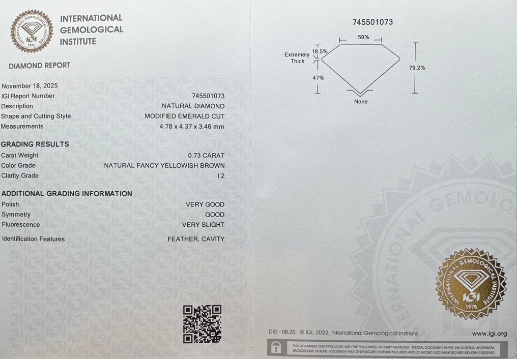 没有保留价 - 1 pcs 钻石 (天然色彩的) - 0.73 ct - 祖母绿 - Fancy 稍帶黄色的 棕色 - I2 内含二级 - 国际宝石研究院(IGI) #2.1