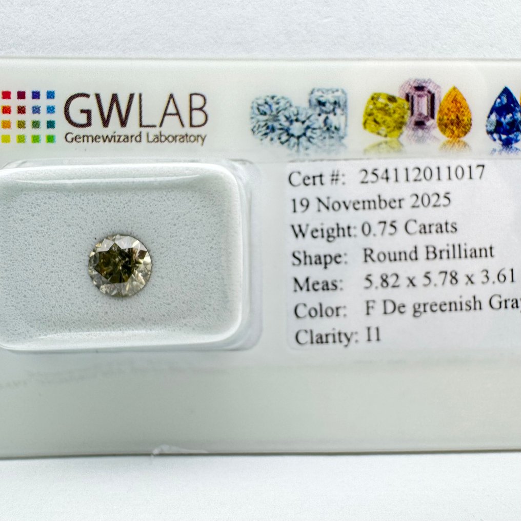 No Reserve Price - 1 pcs Diamond (Natural coloured) - 0.75 ct - Round - Fancy deep Greenish Grey - I1 - Gemewizard Gemological Laboratory (GWLab) #1.0