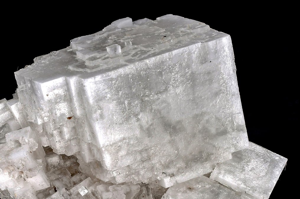 High quality white perfect cubic halite Crystals on matrix - Height: 8.2 cm - Width: 8 cm- 218 g #1.0