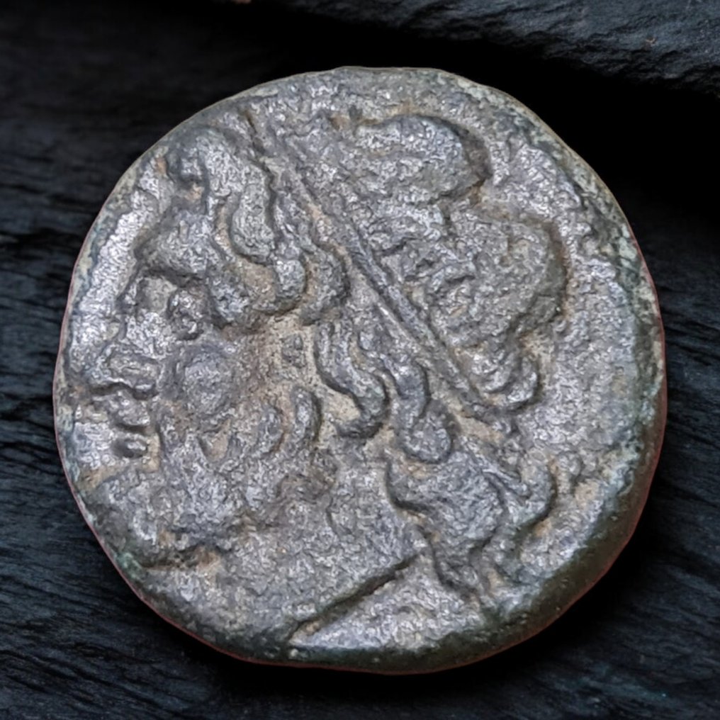 Sicily, Syracuse. Hieron II 240-215 BC. Æ  (No Reserve Price) #1.0