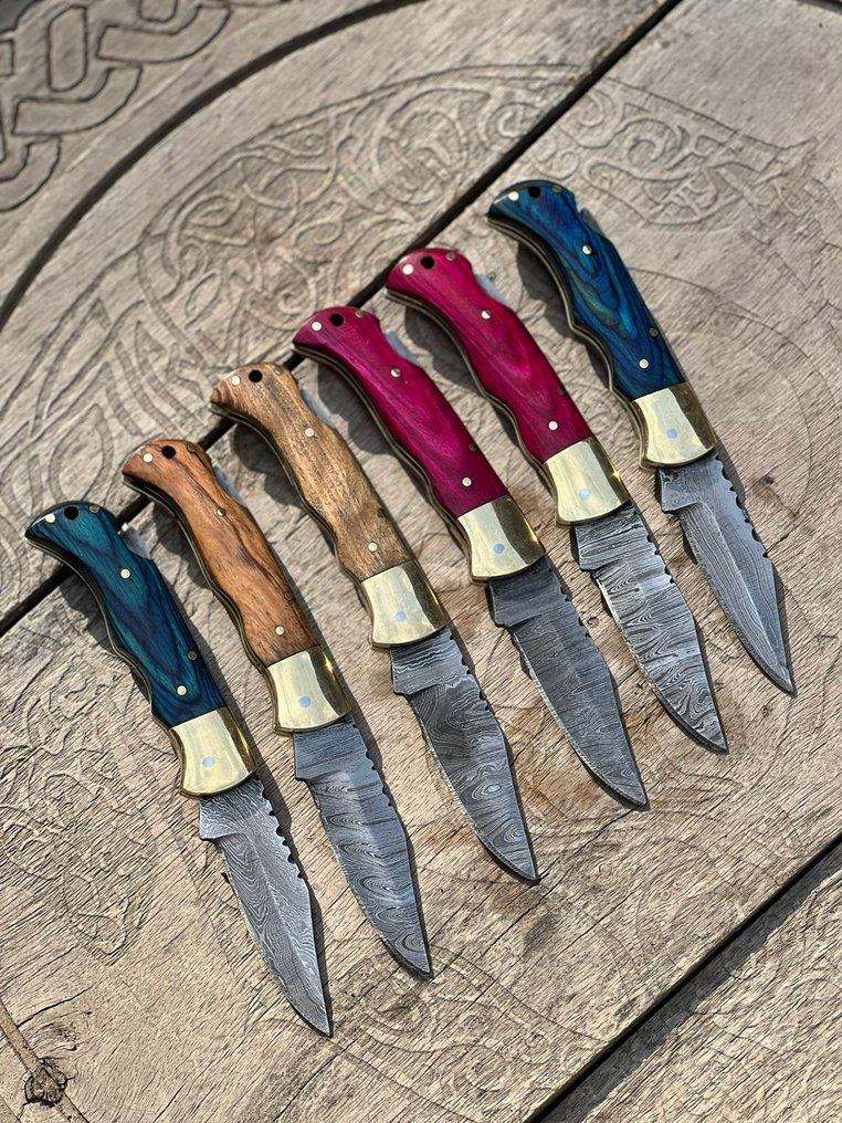 廚刀 - Kitchen knife set -  折叠刀、精美复古餐刀及收藏刀 - 不锈钢刀，包木，黄铜护垫，锻钢 - 法國 - 定制手工 #3.2