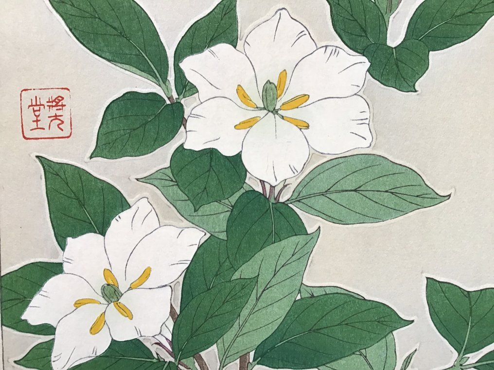 Cape Jasmin  くちなし Kuchinashi - Kawarazaki Shodo 河原崎奨堂 (1889-1973) - Published by Unsodo - 日本 #3.2