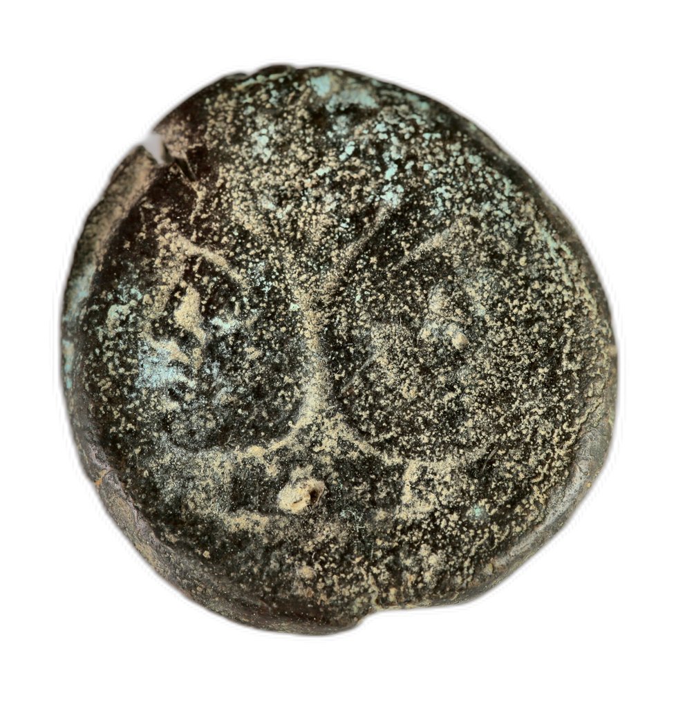 Ρωμαϊκή Δημοκρατία Lot of 5 Æ coins 3rd - 1st century BC #3.2