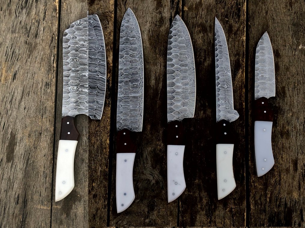 Couteau de cuisine - Ensemble de 5 couteaux de chef en acier forgé, collection d'objets de collection faits main, manche - Amérique du Nord - Leather Saya (Dr6) #4.3