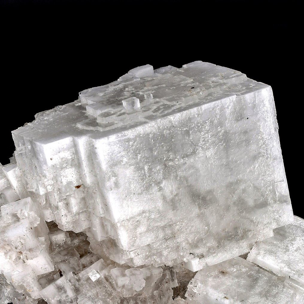 High quality white perfect cubic halite Crystals on matrix - Height: 8.2 cm - Width: 8 cm- 218 g #1.0