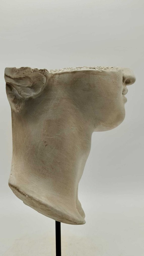 雕塑, Volto di Alessandro Magno - 37 cm - 大理石粉 #1.0