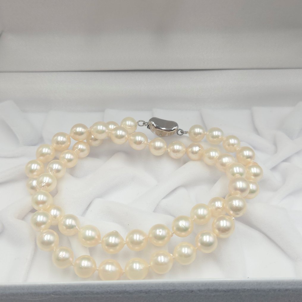Senza Prezzo di Riserva - Collana Argento Perla - Akoya 7,5 mm 17 pollici #2.1