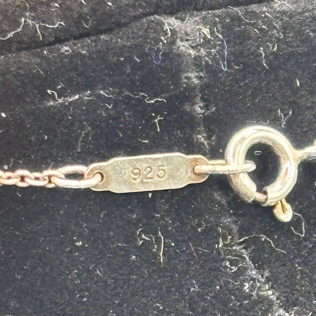 Sem preço de reserva - Tiffany & Co. - Colar Prata #4.3