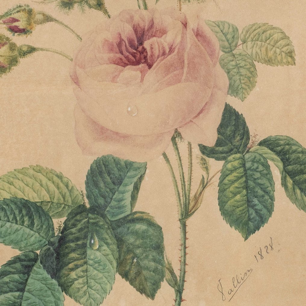 European Artist (dated 1828) - The Rose #2.1
