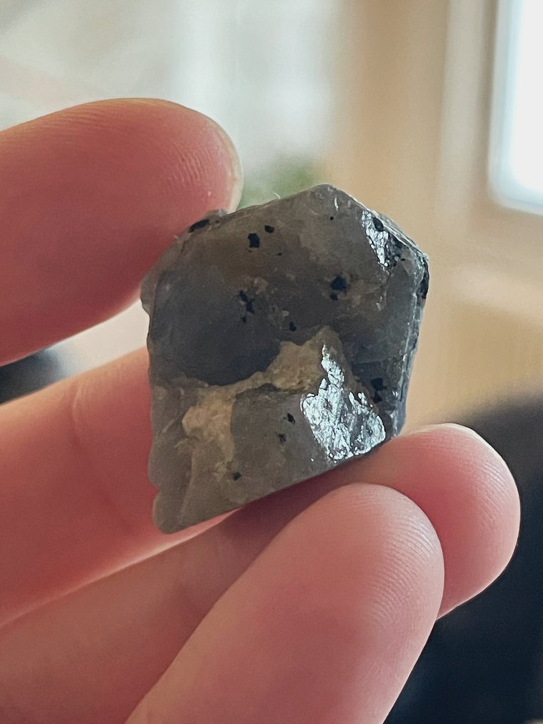 Ζαφείρι Ασυνήθιστο πολύχρωμο, ακατέργαστο κρύσταλλο σαπφείρου. Εκπληκτικό φυσικό κομμάτι. 90,5 Cts. - Ύψος: 32 mm - Πλάτος: 26 mm- 18.1 g #3.2