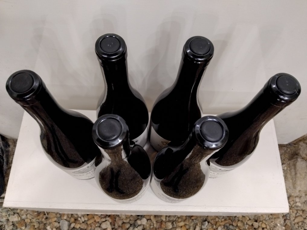 2023 Pierre Menard "Clos des Mailles" - Anjou - 6 Bottles (0.75L) #3.2