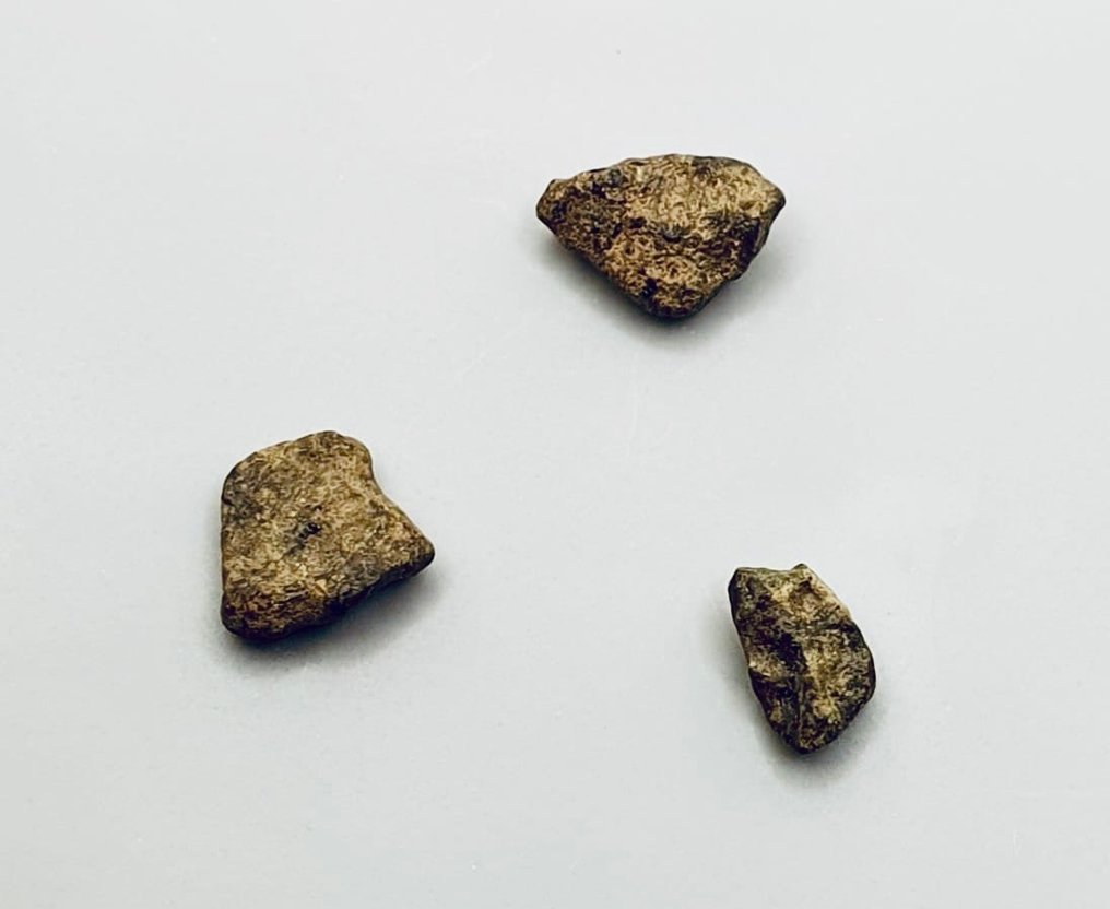 Marsmeteoritt Achondrite - Amgala 001 - 0.5 g - (3) #2.1