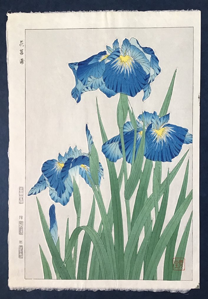 Japanese Iris 花菖蒲orハナショウブ Hanashobu - Kawarazaki Shodo 河原崎奨堂 (1889-1973) - Published by Unsodo - Ιαπωνία #1.0