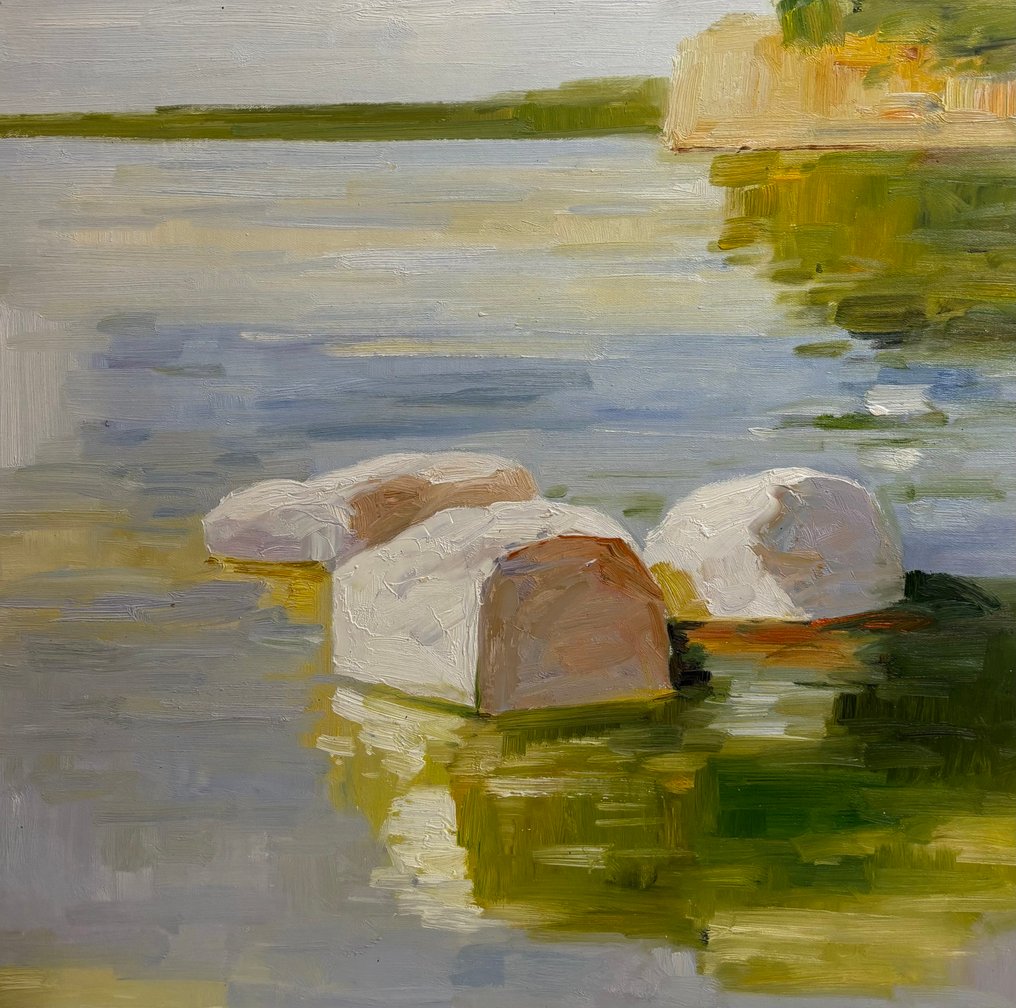 Hugo Delorme - Le marais (XL) #1.0