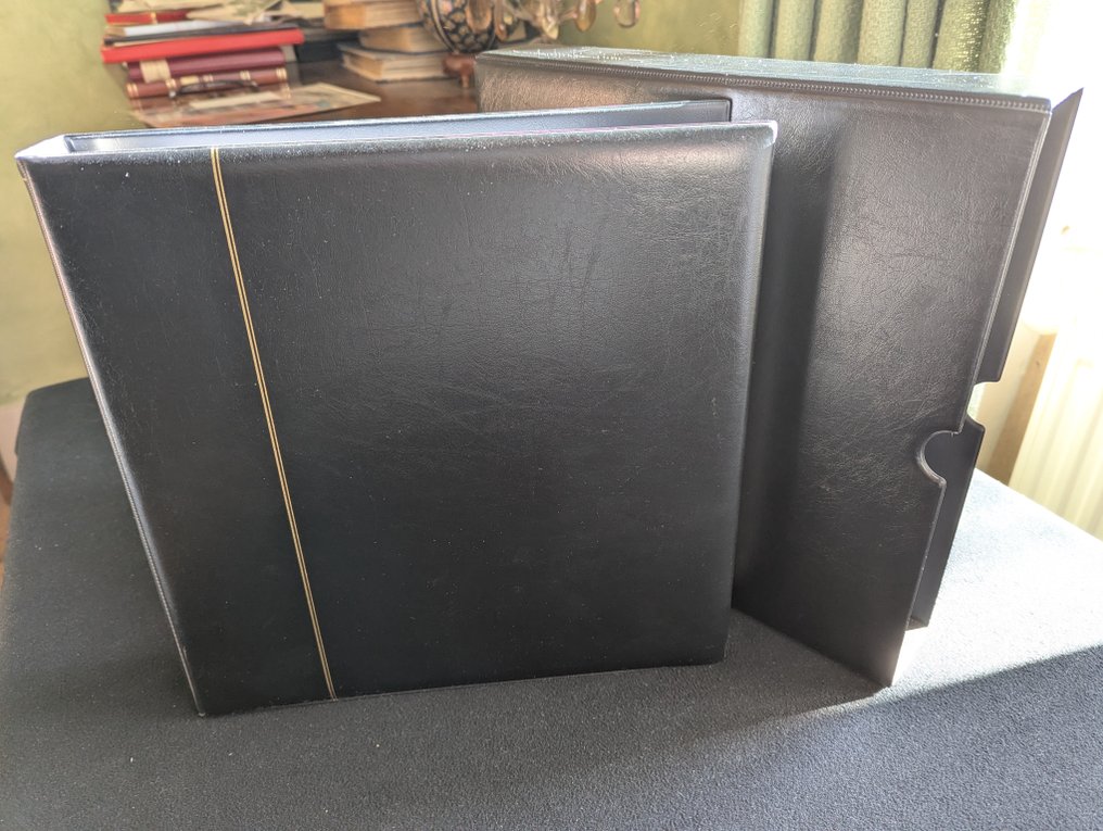 法国  - 奢华的 Yvert Régent 装订 - Dans son étui #1.0