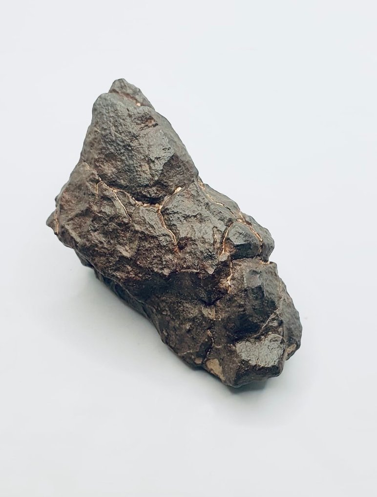 Oklassificerad NWA-meteorit Kontrit meteorit - Höjd: 75 mm - Bredd: 48 mm - 164 g - (1) #1.0