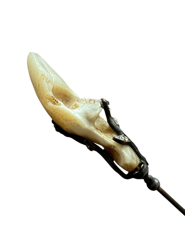 Acciaio - Forcina #2.1