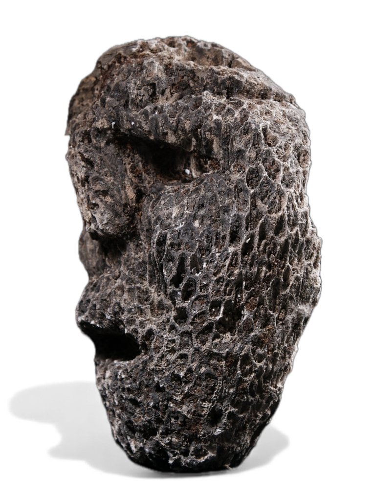 Fossilized Coral Mask - Timor - Atoni - Indonesia (No Reserve Price) #3.2