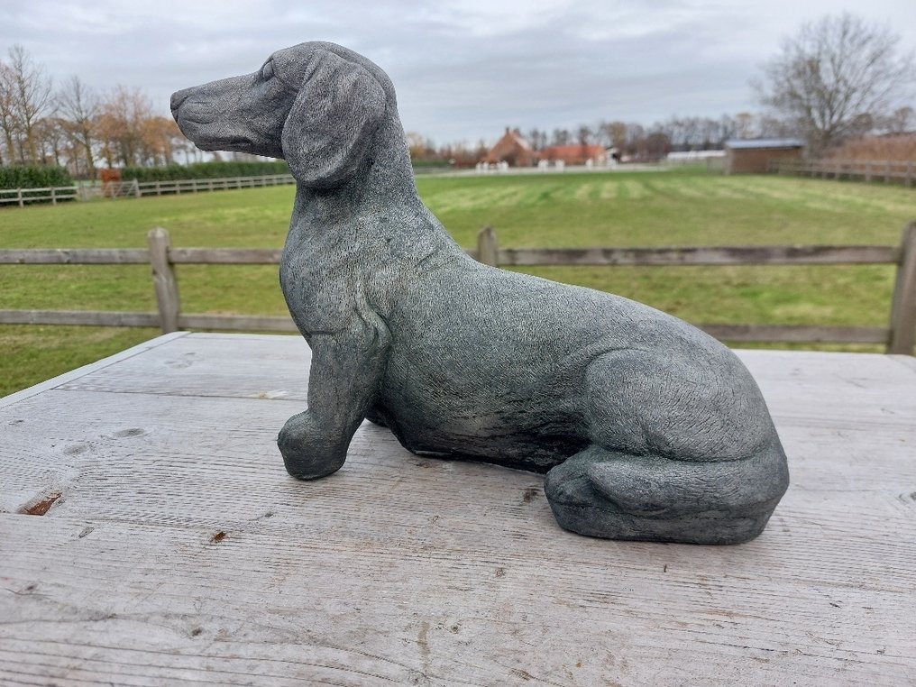 Statua, zwaar en stoer beeld van een teckel - 24 cm - pietra artificiale #4.3