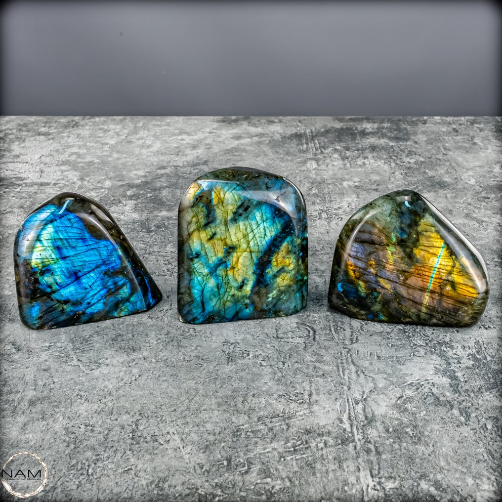 Labradorit – Ensemble en forme libre brillant avec des reflets intenses de bleu, vert et or Labradorite naturel- 1087.37 g - (3) #1.0