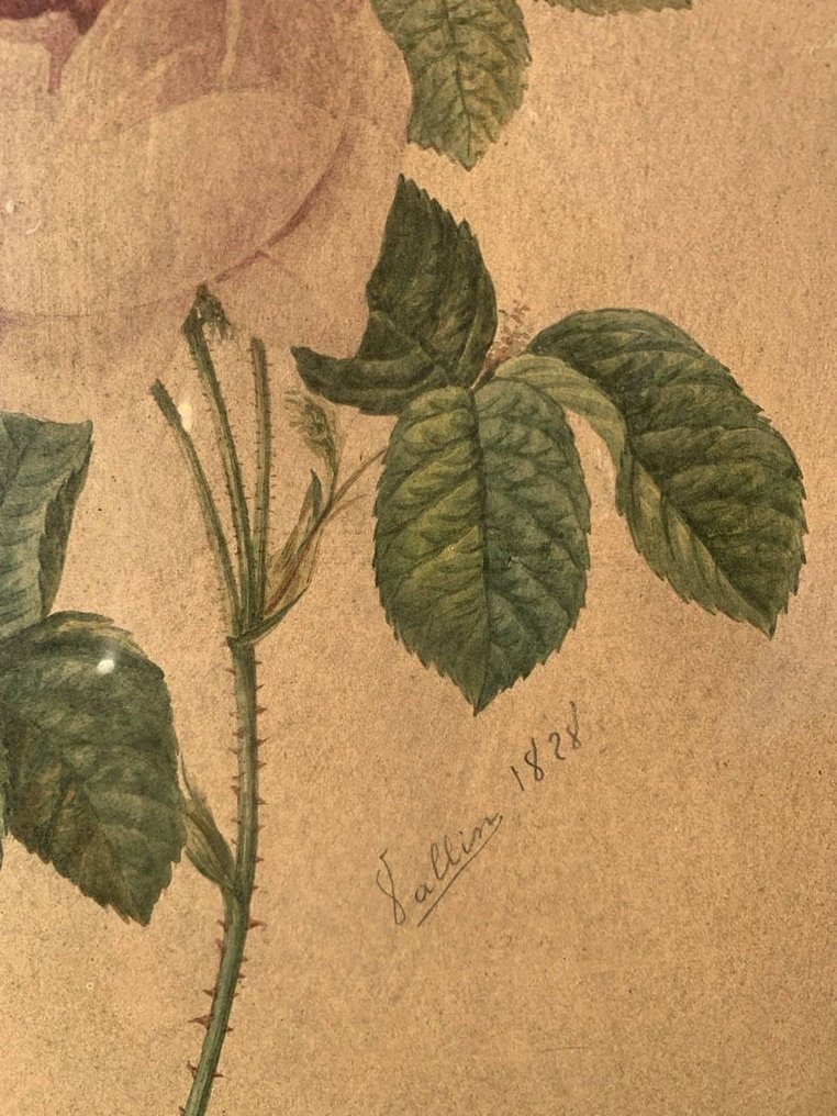 European Artist (dated 1828) - The Rose #4.3