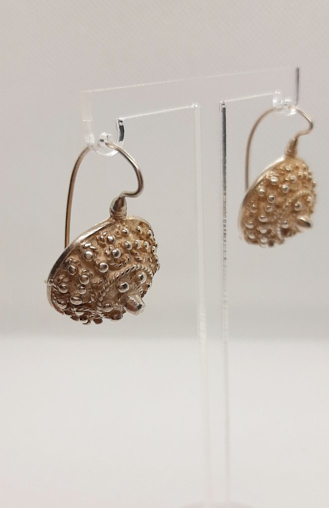 没有保留价 - 耳环 银 - 925 #1.0