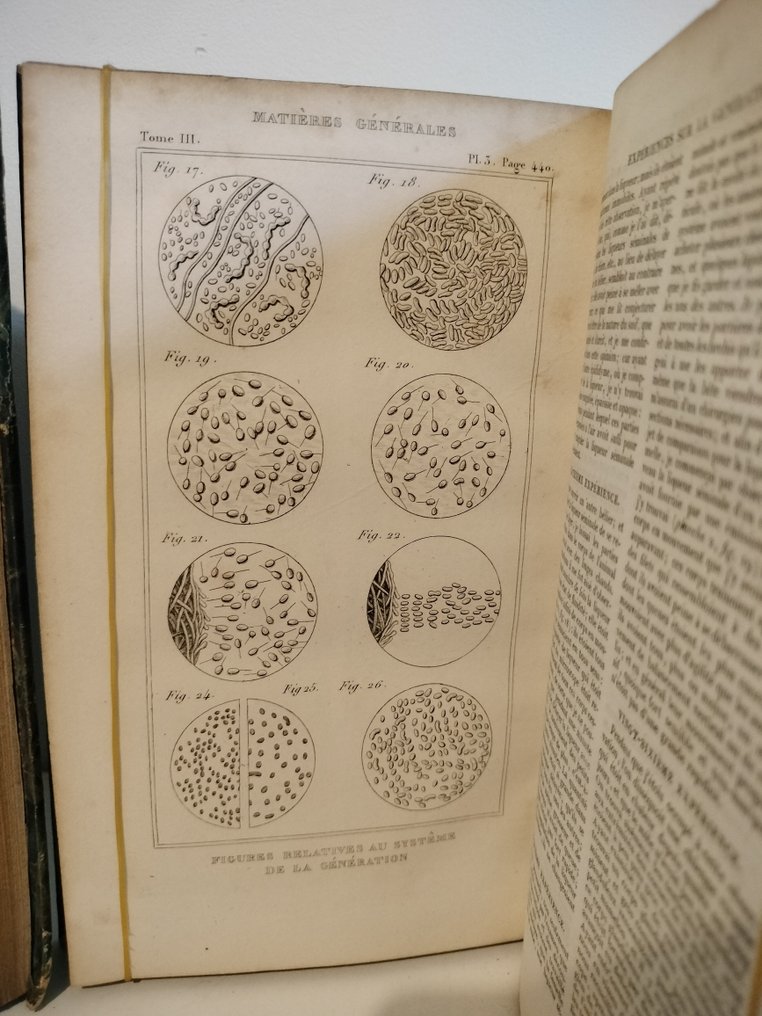 Buffon - Œuvres complètes de Buffon: théorie de la terre, Minéraux, Animaux - 1864 #3.2