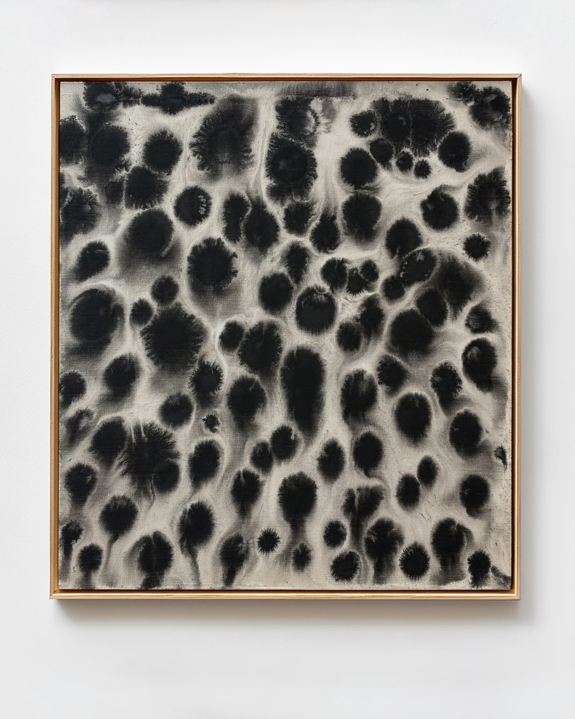 Ella Suárez - Sedimentos 46 - XL (NO RESERVE) #1.0