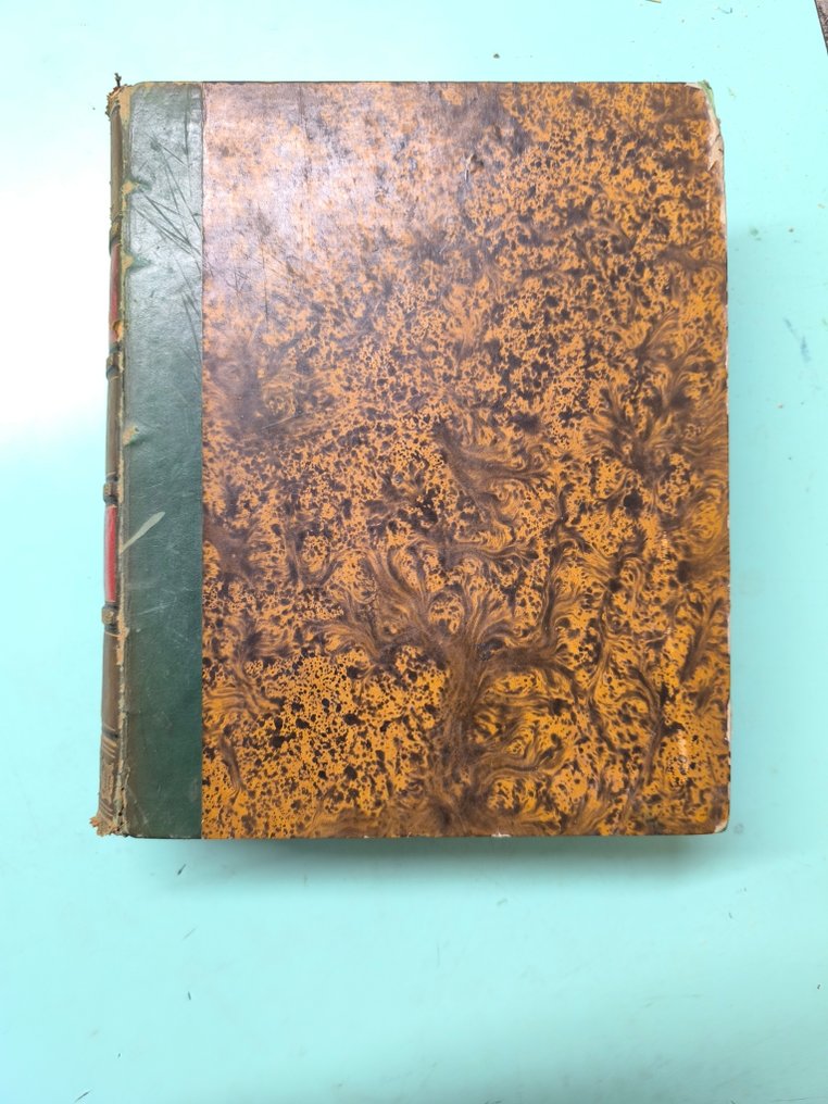 M.Lecoq De Boisbaudran - Caractère chimique et spectroscopique d'un nouveau métal le Gallium... - 1875 #3.2