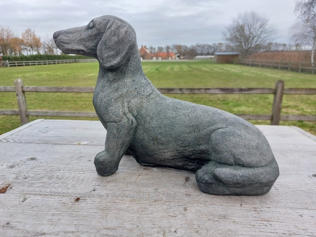 Statua, zwaar en stoer beeld van een teckel - 24 cm - pietra artificiale #2.1