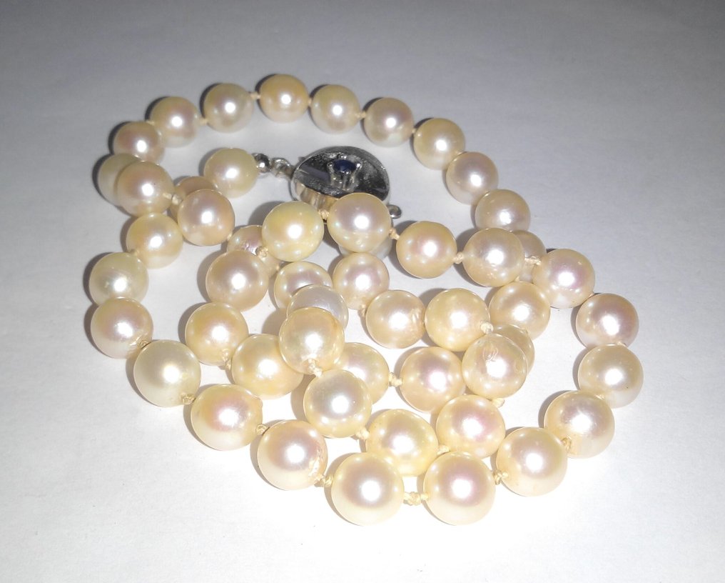 χωρίς τιμή ασφαλείας - Κολιέ 835 ασήμι - μαργαριτάρια Akoya - σάπφειρος #1.0