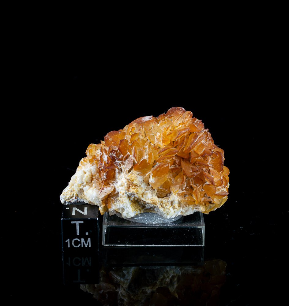 Συλλογή 8 δειγμάτων ασβεστίτη από το λατομείο La Sambre, Βέλγιο - Μέσο μέγεθος 3,7 έως 7 εκ.- 235 g - (8) #3.2