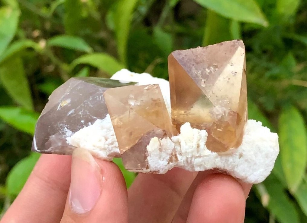 Δείγμα κορυφαίου ζαφείρι με καπνιστό χαλαζία, επιλογή συλλέκτη. Κρίσταλ στη μήτρα - Ύψος: 70 mm - Πλάτος: 60 mm- 109 g - (1) #1.0