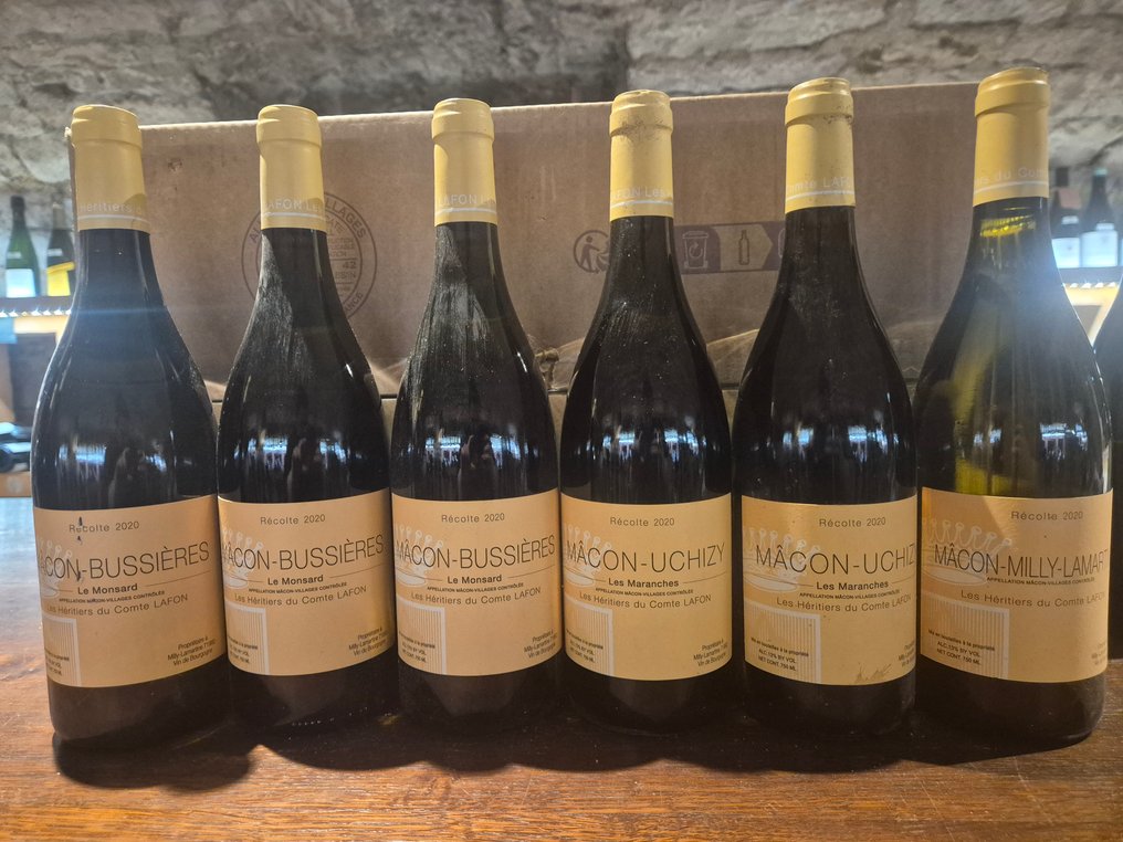 2020 x 3 Les Héritiers du Comte Lafon Macon-Bussiere, x 2 Macon-Uchizy & Macon-Milly-Lamartine - Mâconnais - 6 Bottles (0.75L) #1.0