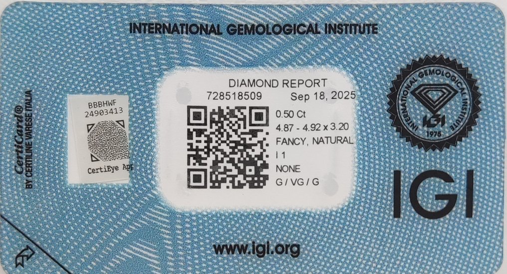 没有保留价 - 1 pcs 钻石 (天然色彩的) - 0.50 ct - 圆形 - Fancy 棕色 黄色 - I1 内含一级 - 国际宝石研究院(IGI) #2.1