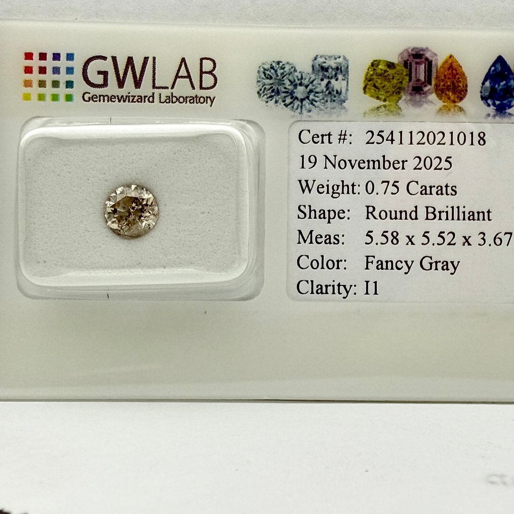 没有保留价 - 1 pcs 钻石 (天然色彩的) - 0.75 ct - 圆形 - Fancy 灰色 - I1 内含一级 - 国际宝石研究院(IGI) #1.0