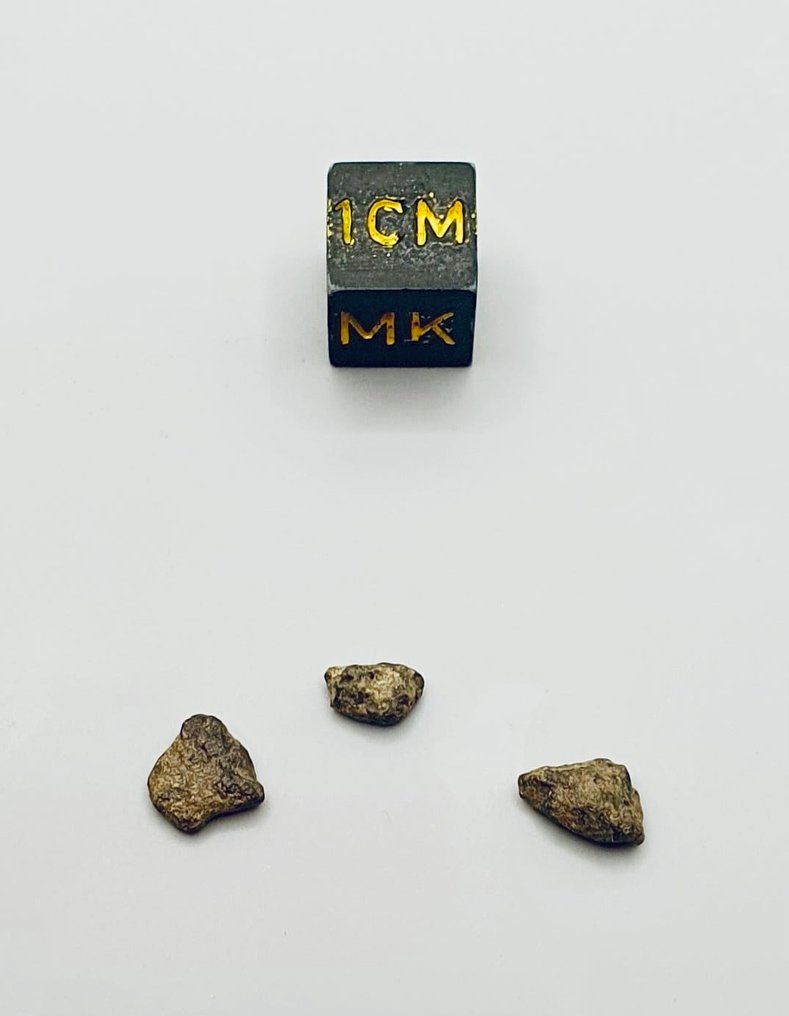 Marsmeteoritt Achondrite - Amgala 001 - 0.5 g - (3) #4.3