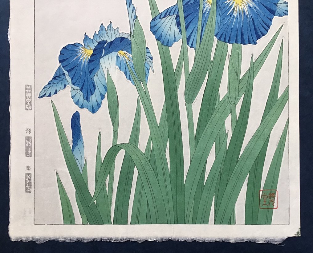 Japanese Iris 花菖蒲orハナショウブ Hanashobu - Kawarazaki Shodo 河原崎奨堂 (1889-1973) - Published by Unsodo - Ιαπωνία #2.1