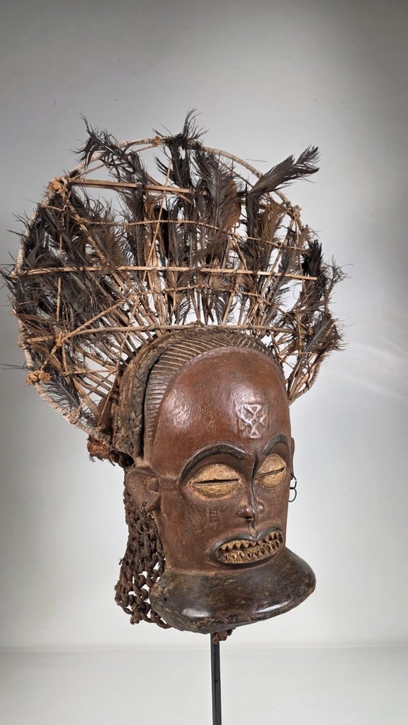 Puu- ja sulkirekvisiitti - Angola (Ei pohjahintaa) #2.1