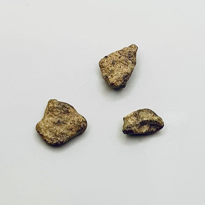 Marsmeteoritt Achondrite - Amgala 001 - 0.5 g - (3) #1.0