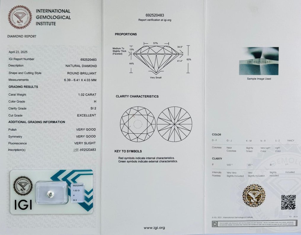 没有保留价 - 1 pcs 钻石  (天然)  - 1.02 ct - 圆形 - H - SI2 微内含二级 - 国际宝石研究院（IGI） - 极佳的销售额 #1.0