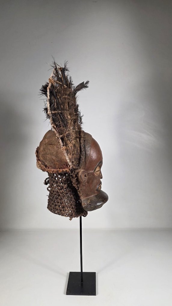 Puu- ja sulkirekvisiitti - Angola (Ei pohjahintaa) #3.2