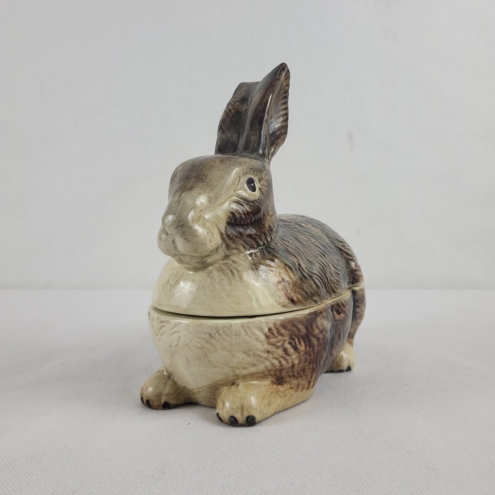 Michel Caugant - Astia - Kivitavara - Lapin #1.0