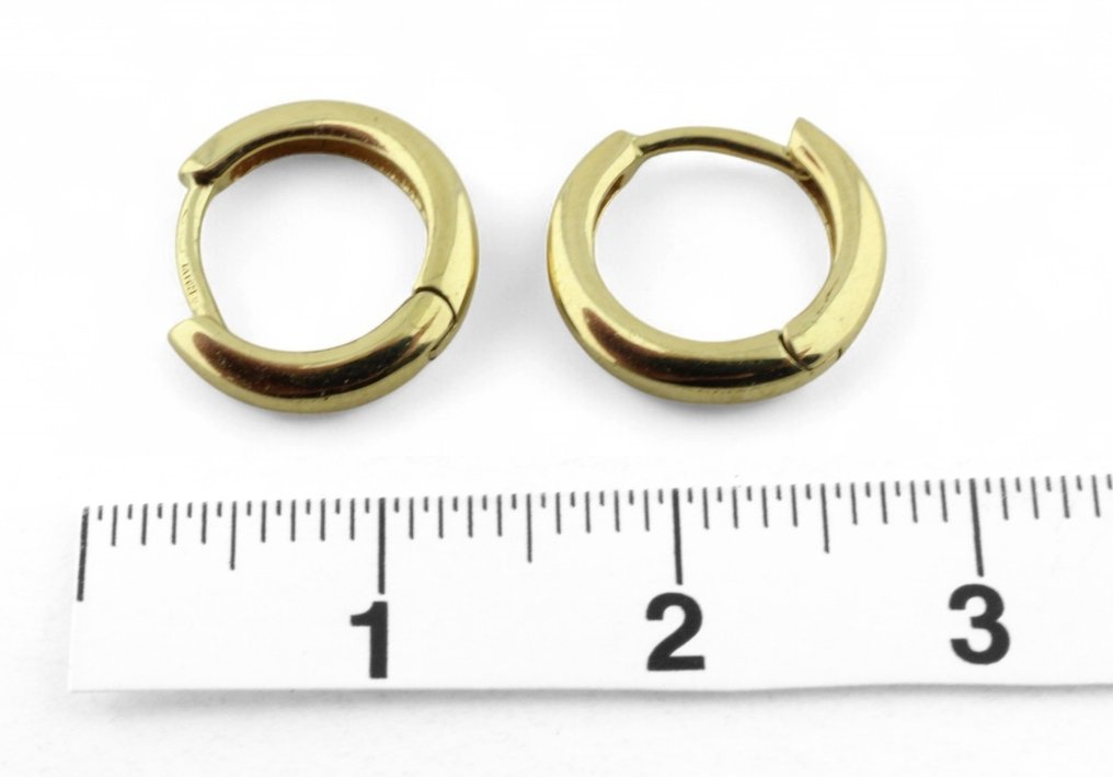 耳环 - 18K包金 黄金 #2.1