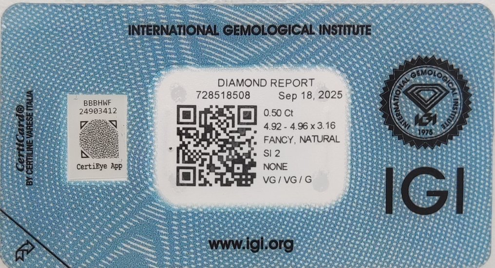 没有保留价 - 1 pcs 钻石 (天然色彩的) - 0.50 ct - 圆形 - Fancy 黄色 棕色 - SI2 微内含二级 - 国际宝石研究院(IGI) #2.1