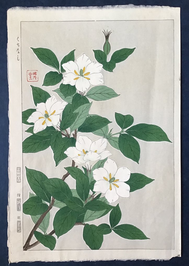 Cape Jasmin  くちなし Kuchinashi - Kawarazaki Shodo 河原崎奨堂 (1889-1973) - Published by Unsodo - 日本 #1.0