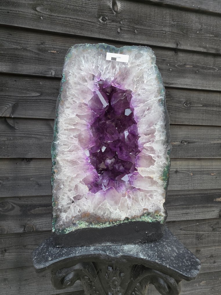 XL Amethyst Geode Amethyst - Height: 39.5 cm - Width: 24.5 cm- 21.94 kg #1.0