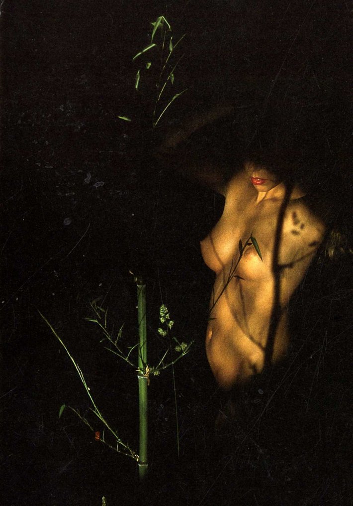 Signed Franco Fontana - Piccoli e grandi nudi + Signed Poscard - 1995 #4.3