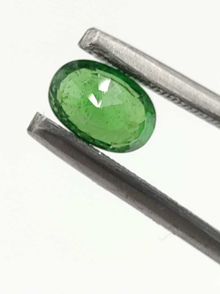 χωρίς τιμή ασφαλείας - 1 pcs  Πράσινο Τσαβορίτης  - 1.64 ct - Antwerp Laboratory for Gemstone Testing (ALGT) - Χωρίς τιμή ελάχιστης αποδοχής #3.2